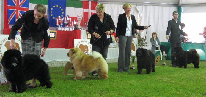 Open female 1-4 (4.Stagebo´s Queen Of Spades)