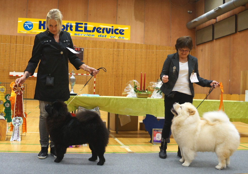 Senior and Dog: 1. Sabrine with Alisja 2. Inge Lola with Pauline 