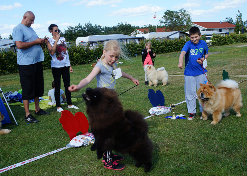 Child and dog competition