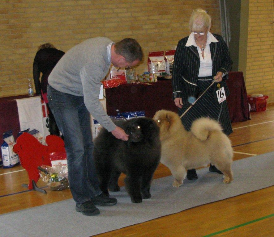 Best puppy: Peli´s Ziggi Of Flensborg Best puppyfemale: Peli´s Zakaya Of Flensborg