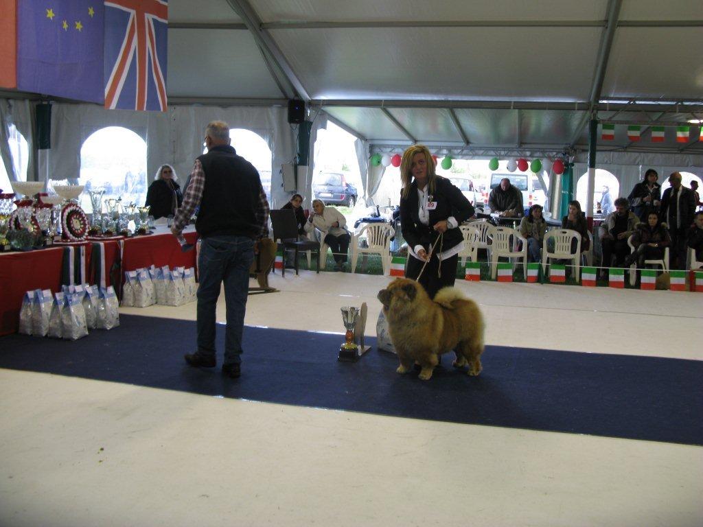 Champion female 3rd CH Chan-Lo´s A Kind Of Magic