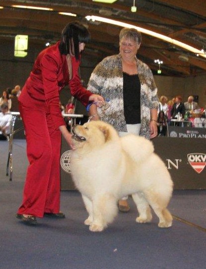 Junior World Winner Dog 2012 Imperial Djalo
