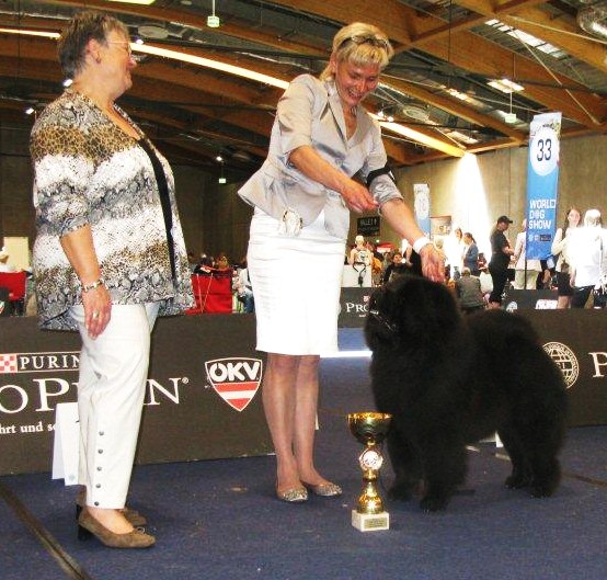 BOB, World Winner 2012 Dogs, CACIB, CACA CH Bon Triumph Jack