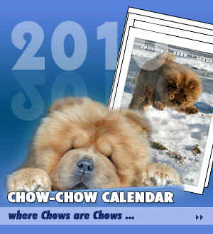 The calendar boy 2005-CH Stagebos Quick Step